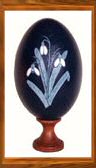 Snowdrops (Click to enlarge)